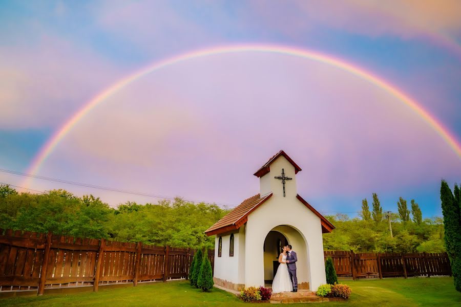 Fotografo di matrimoni Agardi Gabor (digilab). Foto del 24 settembre 2021