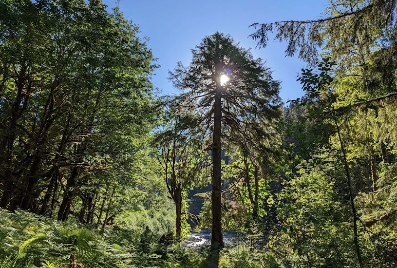  Vente Terrain à bâtir - à Saint-Béat (31440) 