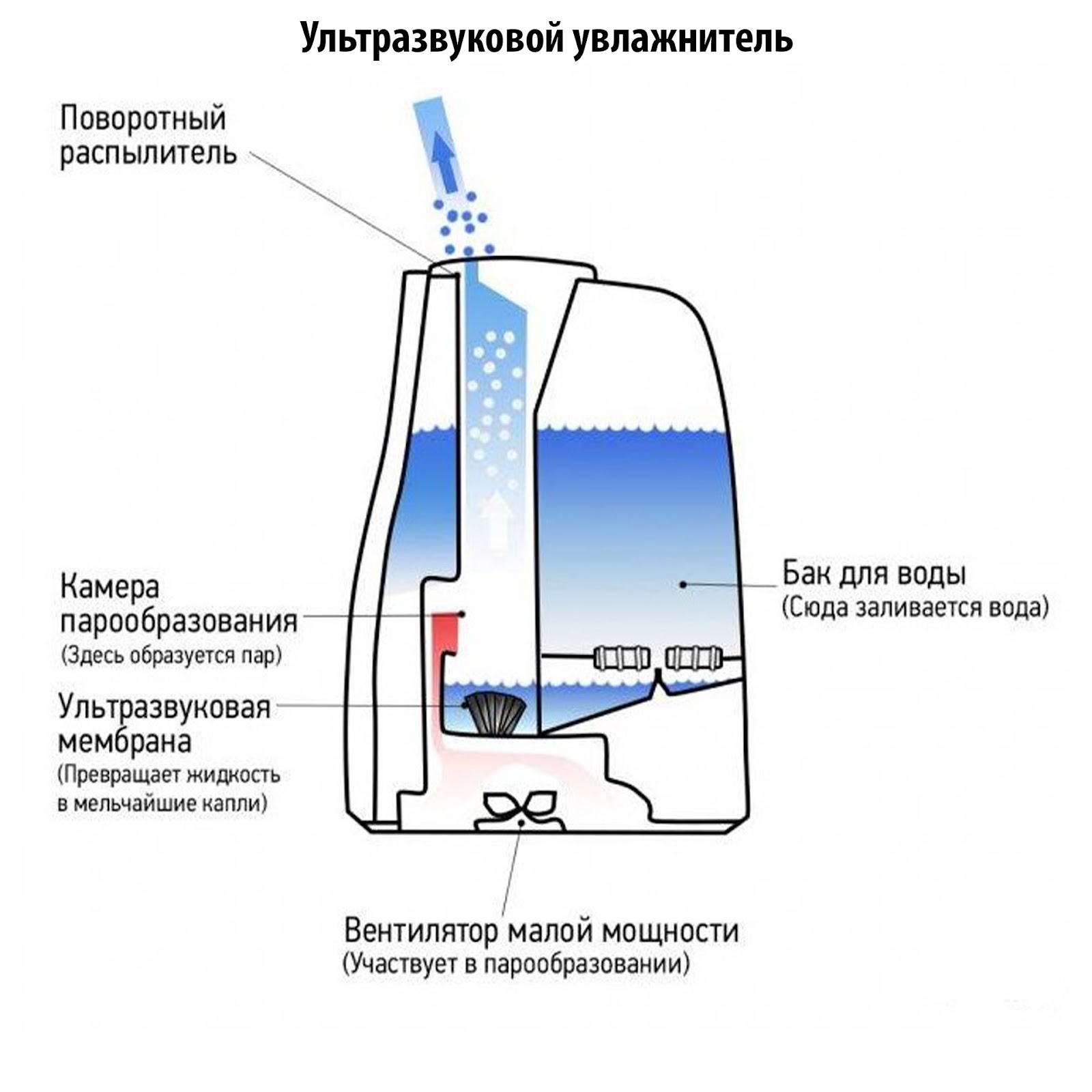 Описание увлажнителя воздуха. Схема работы ультразвукового увлажнителя. Строение ультразвукового увлажнителя. Принцип работы ультразвукового увлажнителя воздуха.