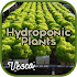 Hydroponics Plant1.0