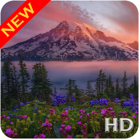 Mount Rainier Wallpaper HD