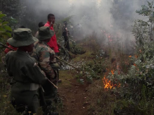 Milimani residents and forest officers try to put out the fire at Menengai Forest on Thursday, January 31, 2019. /RITA DAMARY