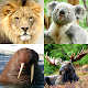 Download Animals Quiz For PC Windows and Mac 1.0