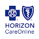 Horizon Careonline Install on Windows