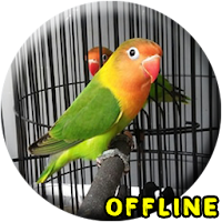 Lovebird Kusumo Ngekek Panjang MP3