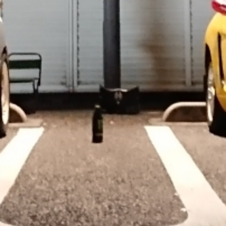 ビートの軽スポーツカー・カプチーノ・スズキ・ホンダ・夜間撮影に関するカスタム事例の投稿画像6枚目