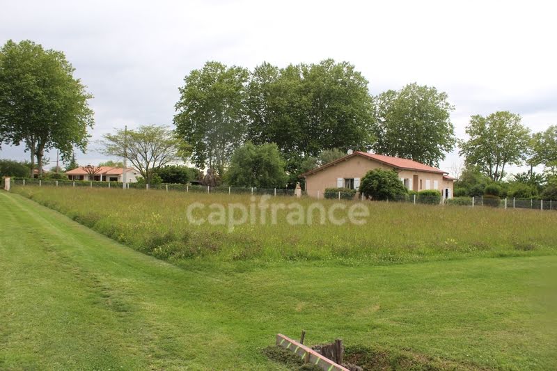 Vente terrain  1820 m² à Montesquieu-Volvestre (31310), 74 000 €