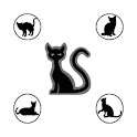 Cat Sounds - play with cat!