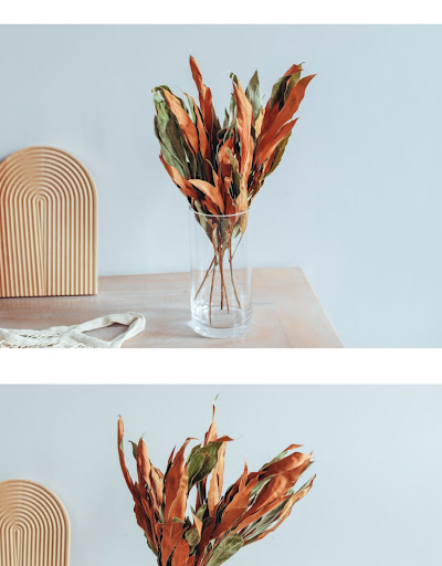 Title 1, European Imported Double Sided Leaf Dried Flowe...
