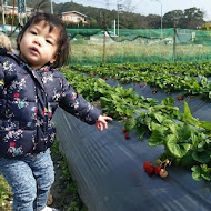 青境花墅親子餐廳