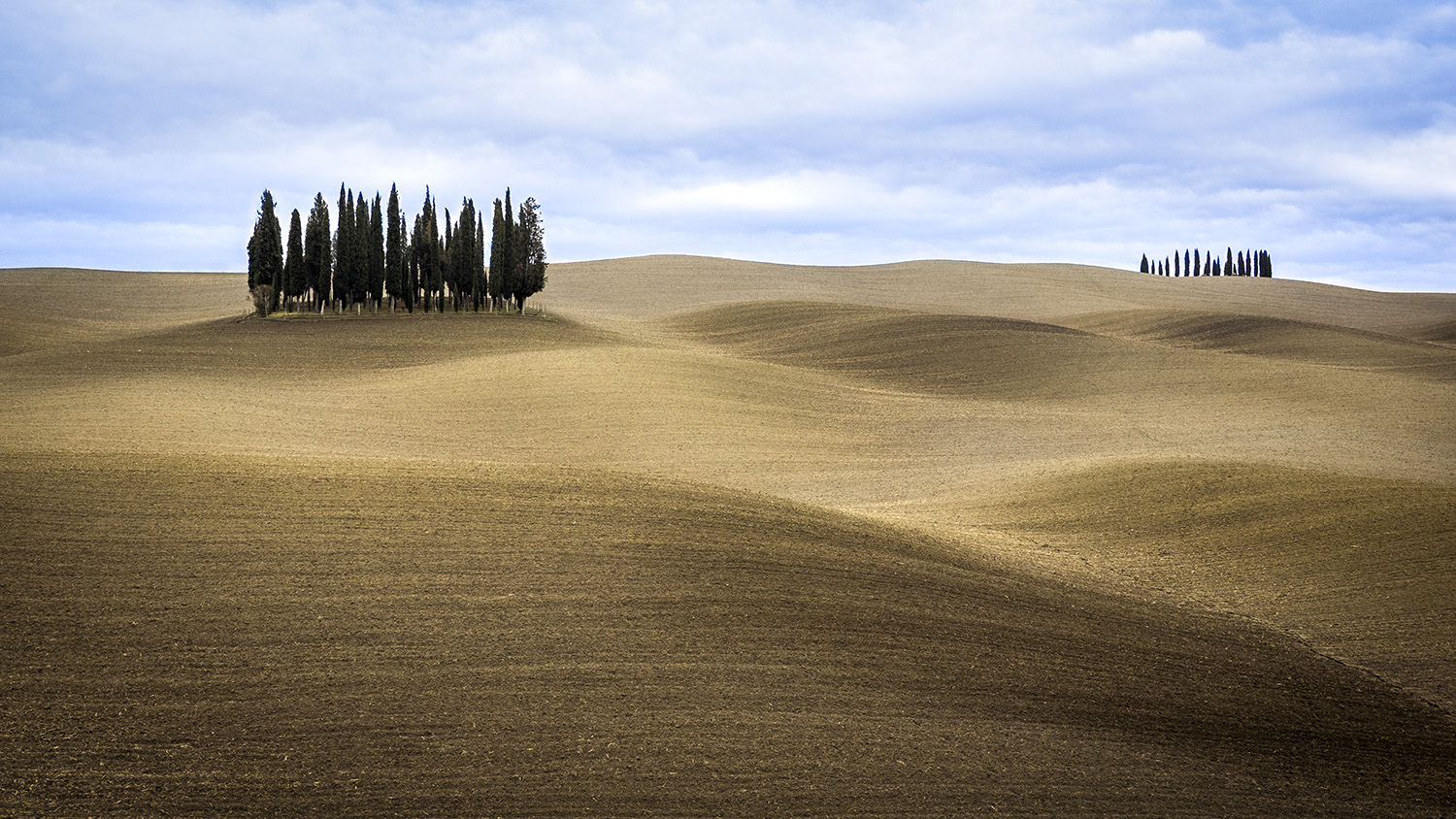 i cipressi della val d'orcia di carcat