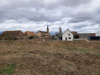 maison neuve à Oberhergheim (68)