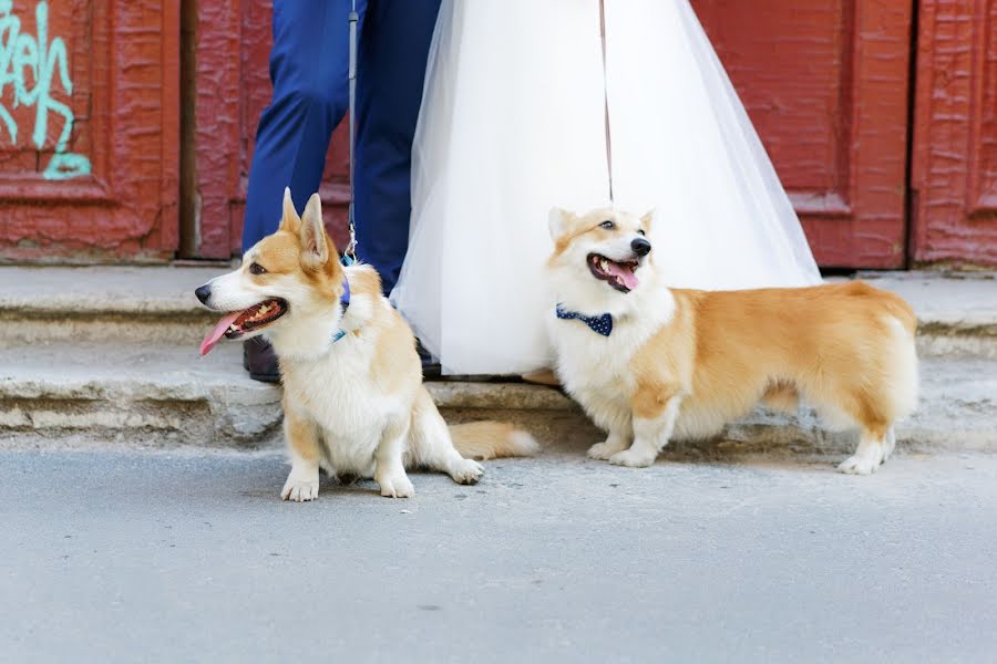 Fotografo di matrimoni Nikita Volkov (volkovnikita). Foto del 27 novembre 2017