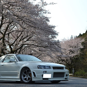 スカイライン GT-R BNR34