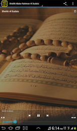 Surah Al Anam MP3 الأنعام poster 4