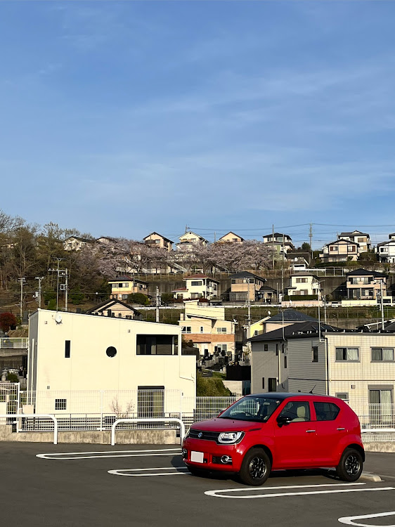 イグニスの遠くの桜とコラボ・エアフィルター清掃・K&Nエアフィルターに関するカスタム事例の投稿画像1枚目