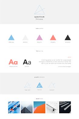 Spectrum Brand Board - Color Palette item