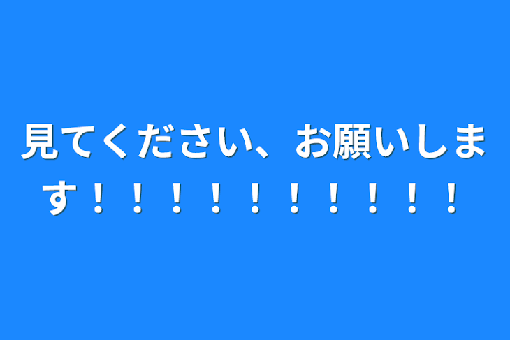 「見てください、お願いします！！！！！！！！！！」のメインビジュアル