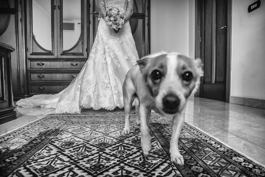 Fotógrafo de bodas Alessandro Spagnolo (fotospagnolonovo). Foto del 7 de mayo 2018