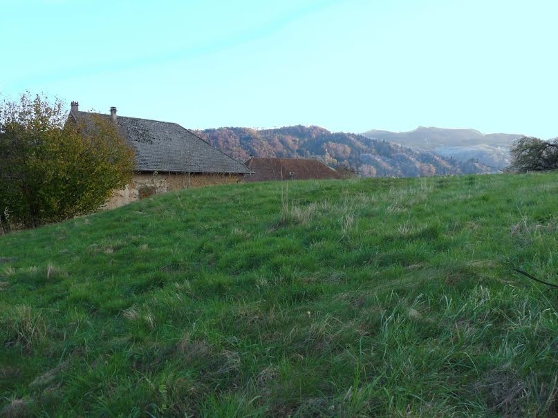 Vente terrain à batir  1198 m² à Saint-Geoire-en-Valdaine (38620), 79 000 €