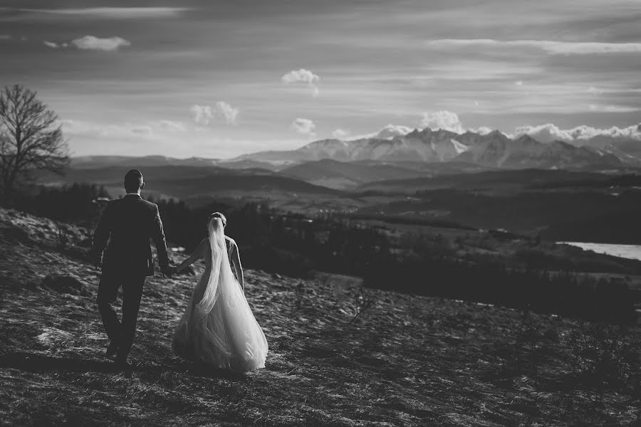 Fotografo di matrimoni Tim Demski (timdemski). Foto del 12 marzo 2017