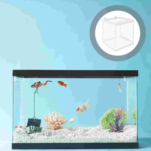Isolation Box Incubation Aquarium & Fish Bowls Betta Tank Maternity for Drip Acclimation Kit Incubator