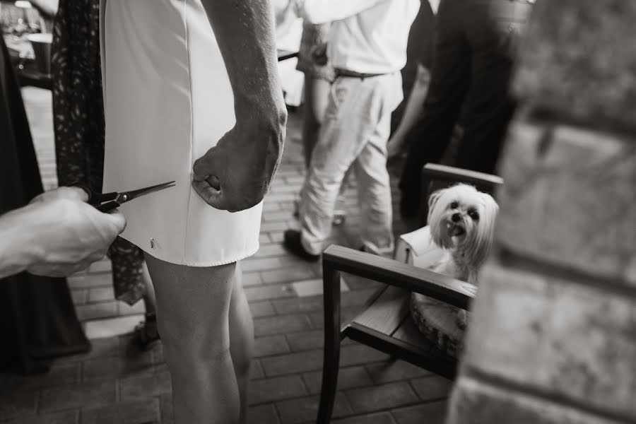 Fotógrafo de casamento Aleksey Safonov (alexsafonov). Foto de 10 de julho 2019