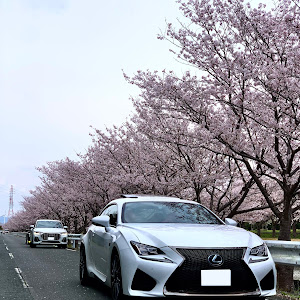 RC F USC10