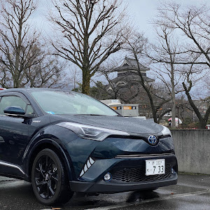 C-HR ZYX10