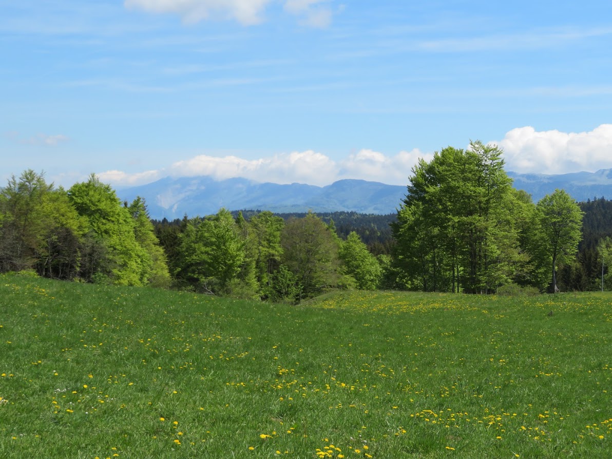 Plateau du Retord et vue des Alpes en bécane.. Acnf7Q-lIp2h-Vf1ivk2gTEp0jYY9FT9BdJujEzwD5WNHdLtKU3L0exnrOlDQlSnUAsMrRhtai3tlW2qBHmz4u7fQzuzwq3X3PH2VyczotNYC0s2VM7dqKn_AQo23dWeG1ZyyFwrCa16y00lWeiCodLSBpfVBP61dvF0Ku5Vy5Awyf_v_wG9UwWR9_5rO38Twobi8jlMQoXZTHqwKttZielLPQ-ujrJ4oYYo1EP__WNx1AJBGTq-eWLwN7gdqUQK673xcQ4-jZ1ANd5zmdAC1tUkbD-5r3L1_qzQaDkd8Lws44RoGcJh2KvHNfXpaupyi1fIVjKEJ48CytGEHarZ32N-i1eRMDX7qXSDxgFMO8TEild2pOg5TsUvPkw7CNLqICVZzNRj1OHL6K8HjU6lBioTftBRvel7p4vscaZD9BsZS7sOt_phst3_wVPNxU_pn1NYYVtYIdl8sNK5YVQcaiphFQDD5krNIximrervV0vPz9v-Rz33x29JJF1GGoTE2_PWGrMpZWJbwcpJW0KtmC4wI9THEItZL23jXHqWj2t_4tZMdLrClY5YdATaTk7SDpBZl5FZvTBUPpeKu8huIdcRp-y0K9nbcEaWpmGDVqkgjyWhxv5RSoowxxpBCp3H3cktVIV7KPBFd_H4sqifk1hNl122qT7u6Cx7RQeY71I=w1192-h894-no