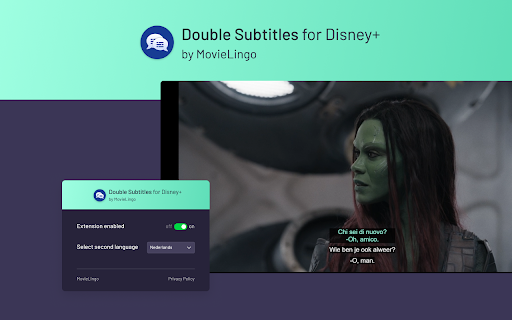 Double Subtitles for Disney+ by MovieLingo