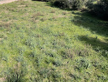 terrain à batir à Tomino (2B)