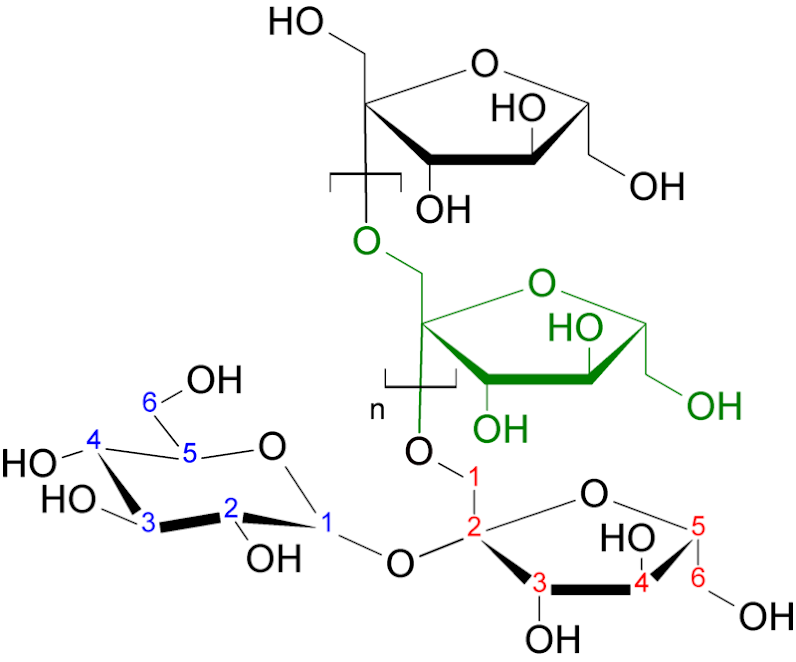 Цикория (Синя жлъчка). Cichorium intybus, семейство Asteraceae Ad9gOkHVcYUyp3-c9Fru8Af0FNYKrDgYvrp3_7cLPQ3fcV3L4Cd0Yh23qOA6prQ2UUNsHeqlfW4wsNsVIvz7jrB_uvURvBU8fWNqLL6XxL5eowVNodF7ihFq0LfOvBFBahe2gM7ENRFXIR3xfgEeBCabrBzTnYQFqx6Sjkr6BxotKqe-sweUbnlZ4YGHiQUSjrCnktqRVKxmQz_cUpJ0cvO6huREVmX-sfkb7zIY3CTiA8vw0vbIZBfHOFjHofgko5G-xeZPGCRe1ZneK9_lIf-M-48iBZxz_44cFYK18BVfBRQ5ZvM0gnjRd5C9bhr-030PtUmr92sBtooDcDKY6DdhTd53_A6i7wP3JZL8Q8Gu1qTVpEp9_ecuqorMknioHDlwt-0djWP7M4Lz1Ln3fh6-GxHbFVagBvkEb8tV7loxUw8xdc1s4l-WIBtnJ2hz4qW9ZlVZUjnFeXc75AoPW2ODHu5rZAK5m-sLlua4udCeOKu_BQAeSgW-G8QkQp4Ha5OVeE82HQAcYh2zwoRqrlUifaT371q6KIcUsi-HAHsWKkSQjaM70lO-XwyFqqflKbyXbK3-Nm_RK6MYlkZB4BmZA0HhXeOwYai4vWc9IS1Tkg8Z751CBhkb=w797-h662-no