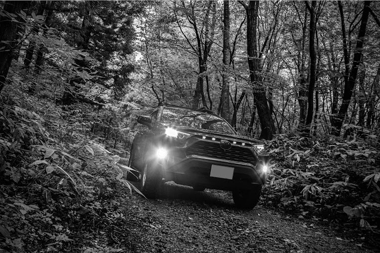 RAV4のモノクロ祭り・モノクロ祭り便乗・rav4・トヨタに関するカスタム事例の投稿画像1枚目
