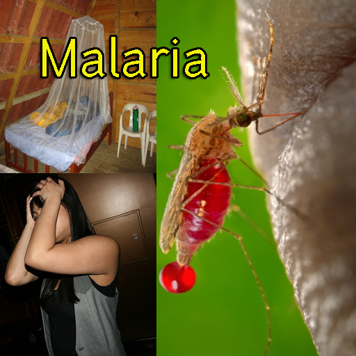 Malaria