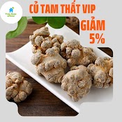 Củ Tam Thất Bắc , Tam Thất Rừng Sấy Khô Cao Cấp Giữ Nguyên Dinh Dưỡng Như Củ Tươi, Tăng Cường Sức Khoẻ Túi 1 Kg