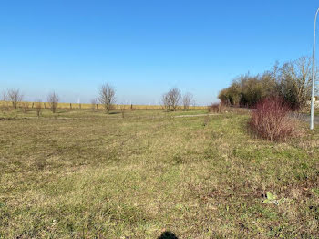 terrain à Saint-Jean-d'Angély (17)