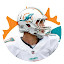 Miami Dolphins  New Tab Theme HD