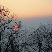 Sale la nebbia al tramonto di 