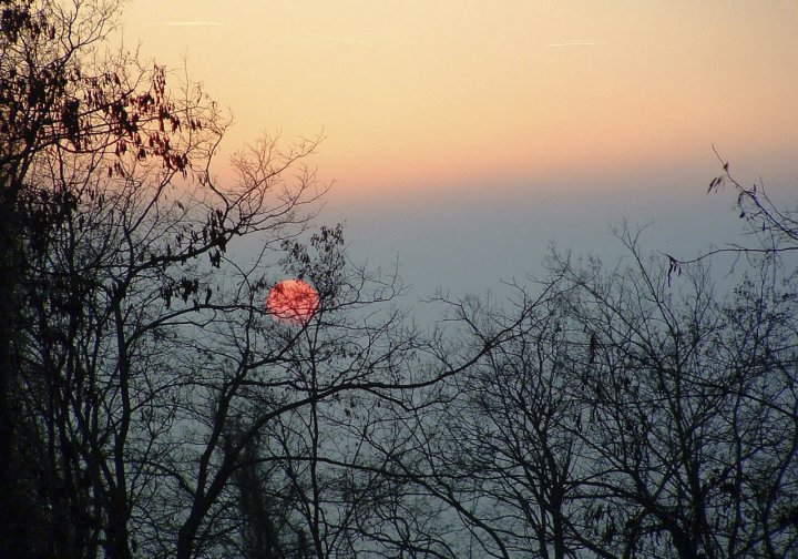 Sale la nebbia al tramonto di marmotta