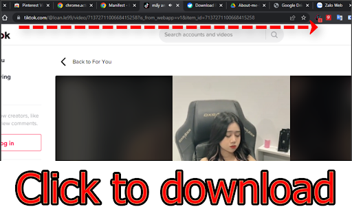 Tiktok Video Downloader