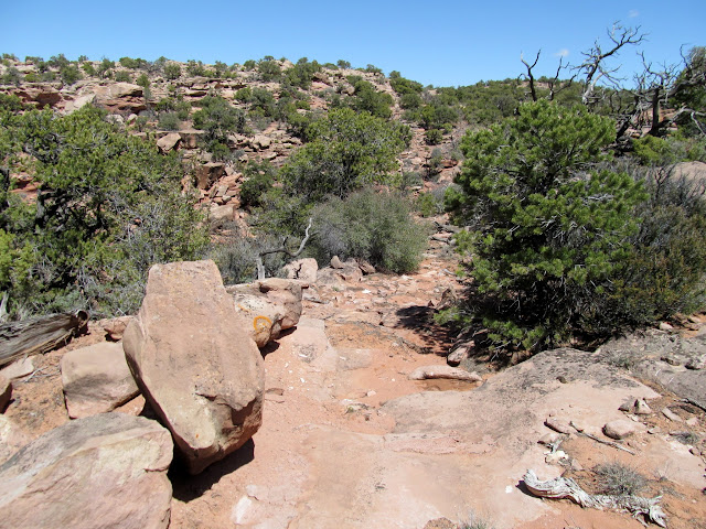 Constructed stock trail to Flint Seep