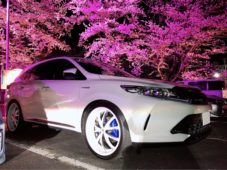 ハリアーのドライブ・桜と愛車・夜桜見物に関するカスタム事例の投稿画像2枚目