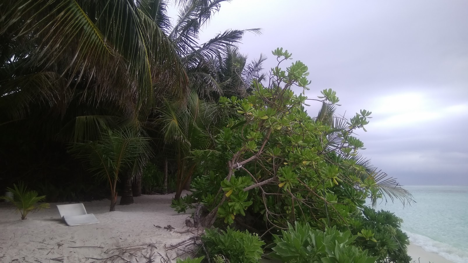 В одиночку на Мальдивы. Остров Тодду (Thoddoo). Май 2018 г.