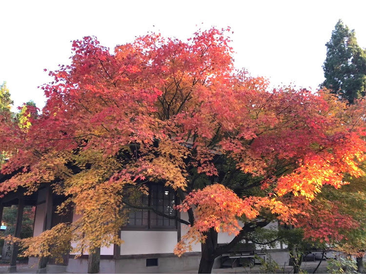 の投稿画像11枚目