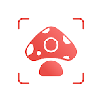 Cover Image of ダウンロード Picture Mushroom - Mushroom ID 1.0.4 APK