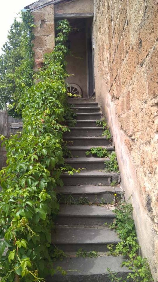 Bagnoregio  di ilfonzi