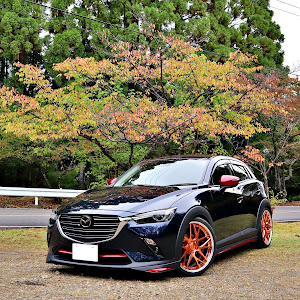 CX-3 DKEFW