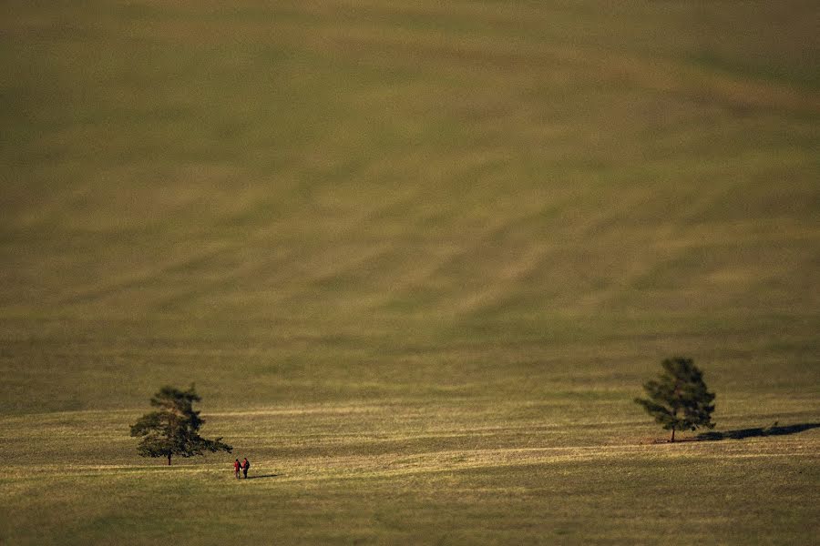 Vestuvių fotografas Denis Anurev (ideapix). Nuotrauka 2014 birželio 10