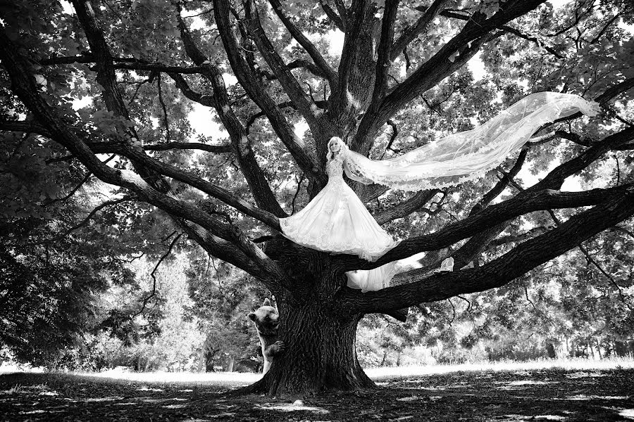 Fotografo di matrimoni Miqo Cash (miqocash). Foto del 16 maggio 2020